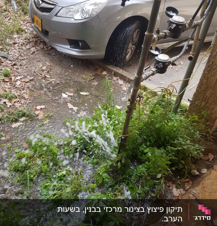דליפת מים מצינור ליד מד מים